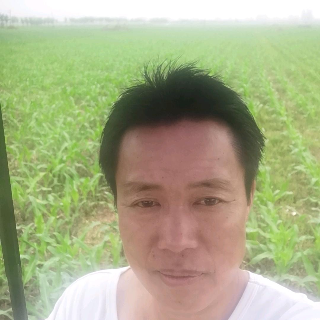 金鸡啼鸣万象更新