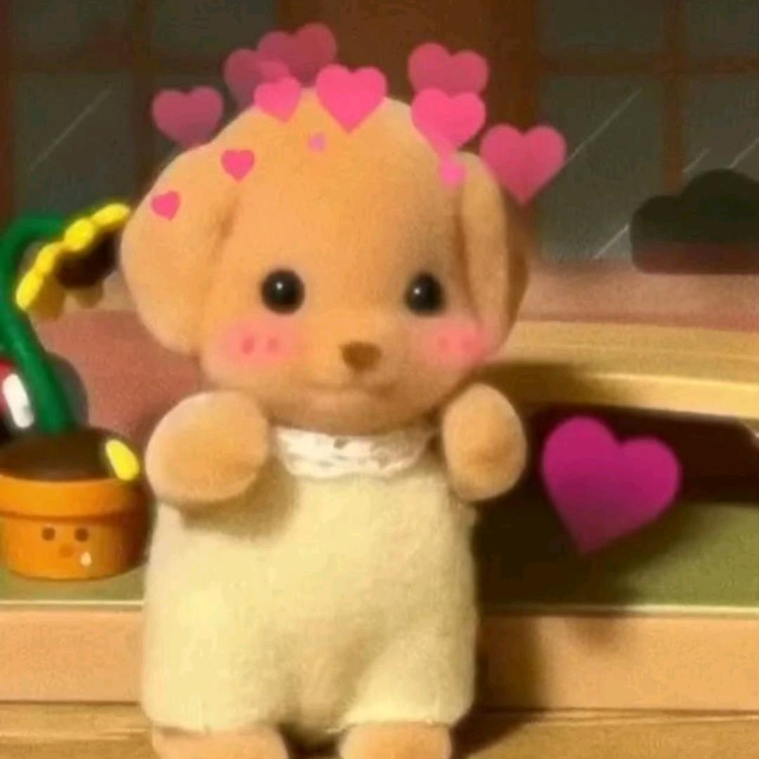 琑琑呀（双男主推文）