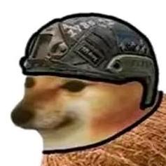 瓜蛋