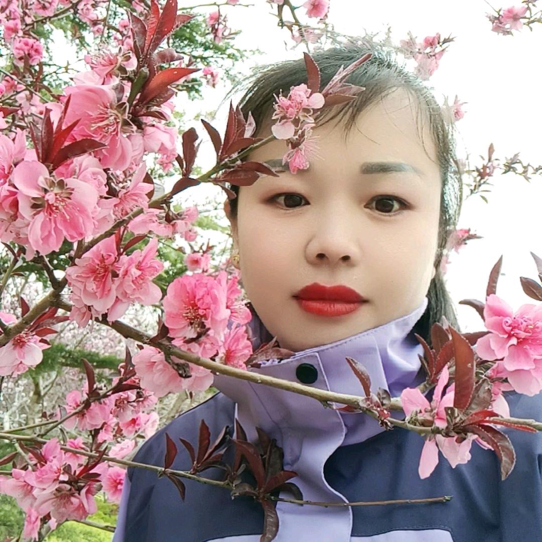 桐乐