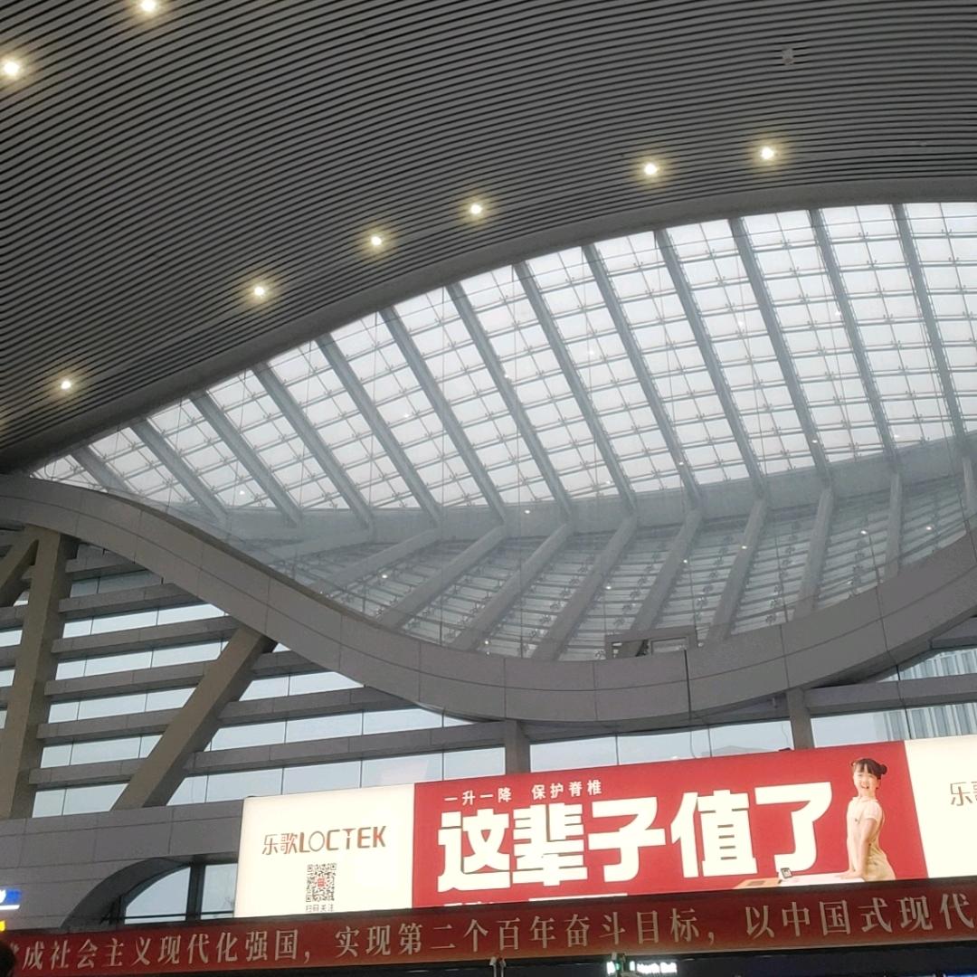 城市穿梭者(天选之子)