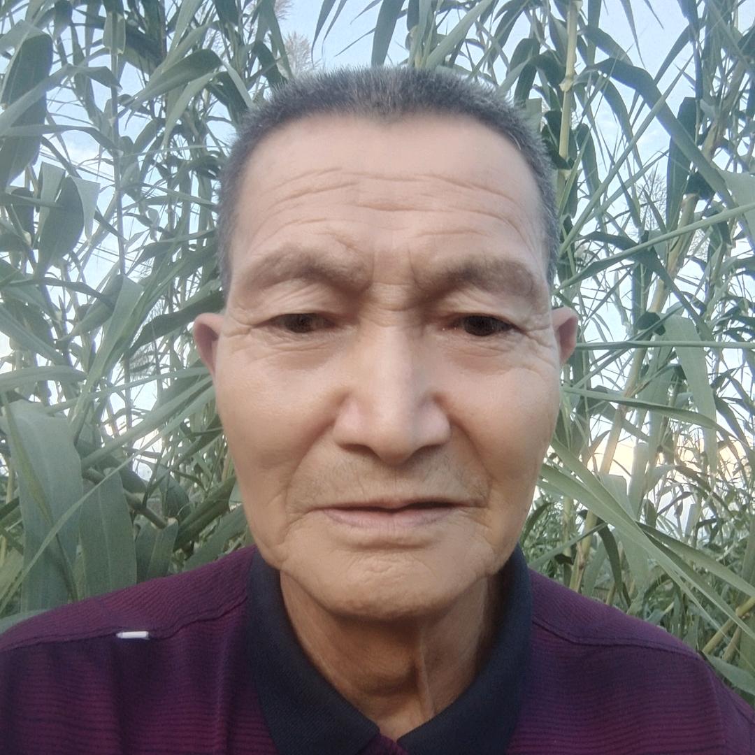 兽医快到十分钟胡