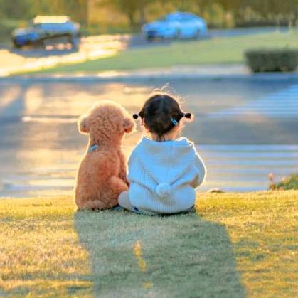 儿歌0-3岁早教启蒙