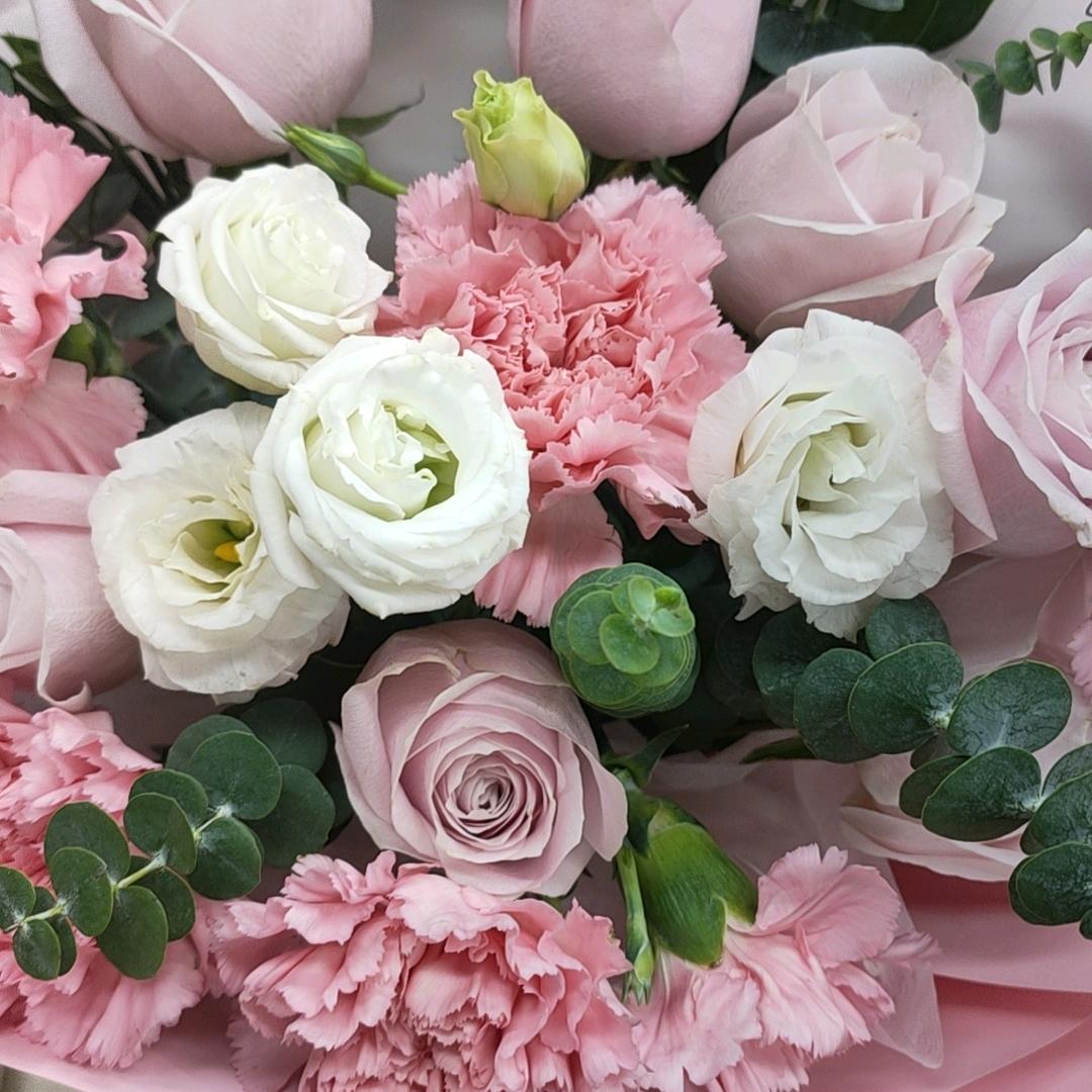 乍暖  🍀🐇🐓🍀