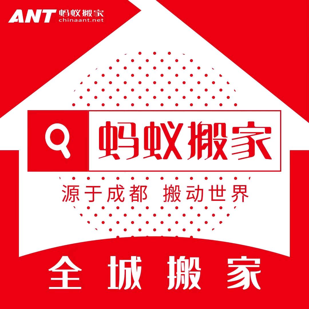 蚂蚁搬家.收纳.家政