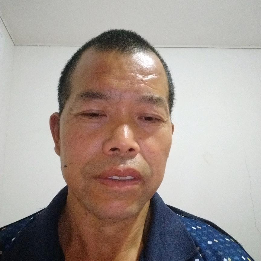 陈律凡
