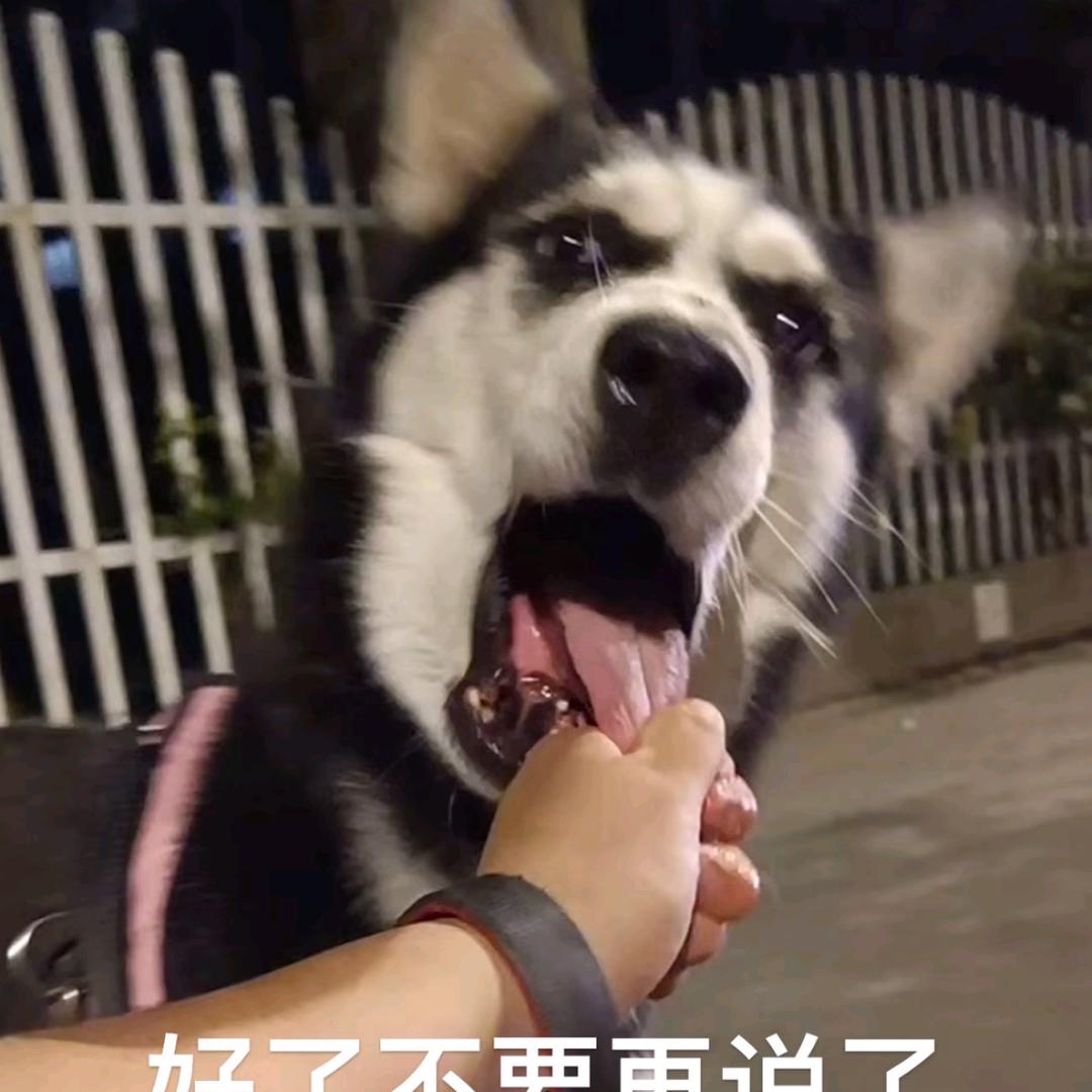 春雪