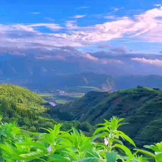 天💞空