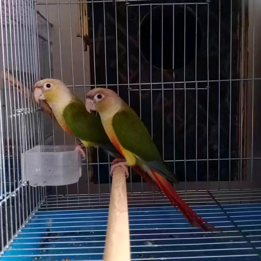 爵溪