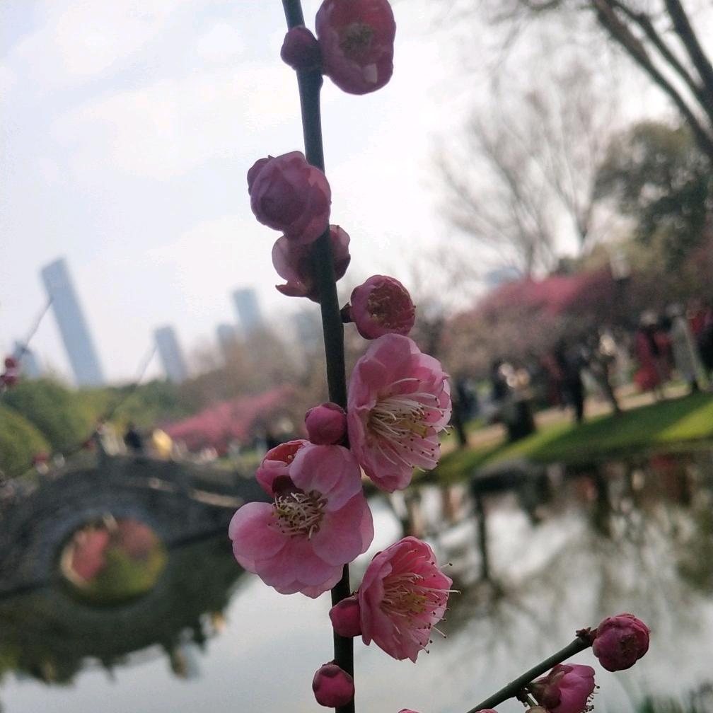 更好