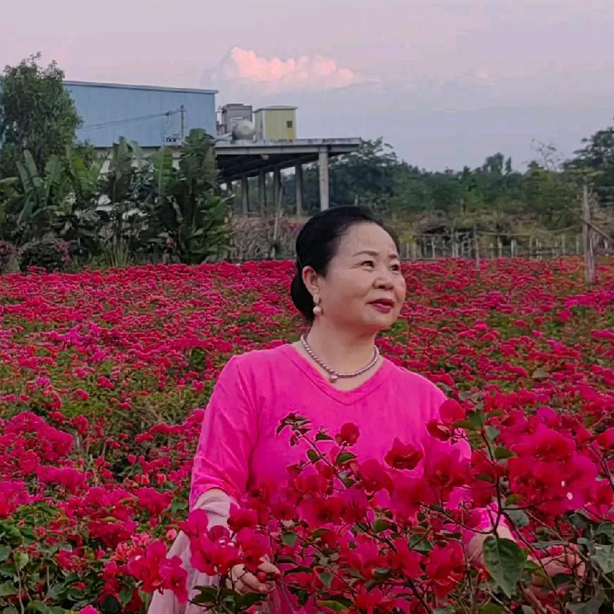 宋春梅
