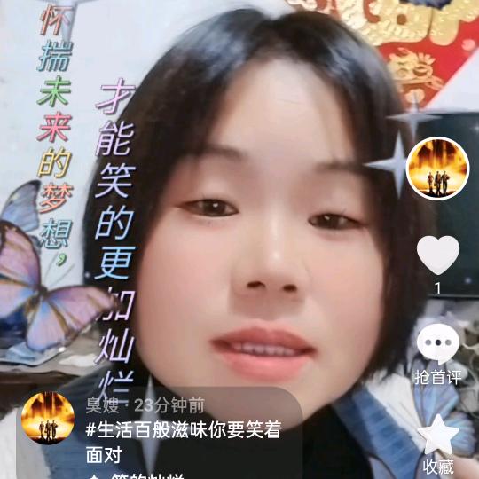 抓鸭队