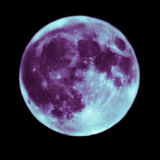 西边土堆上的瓦片