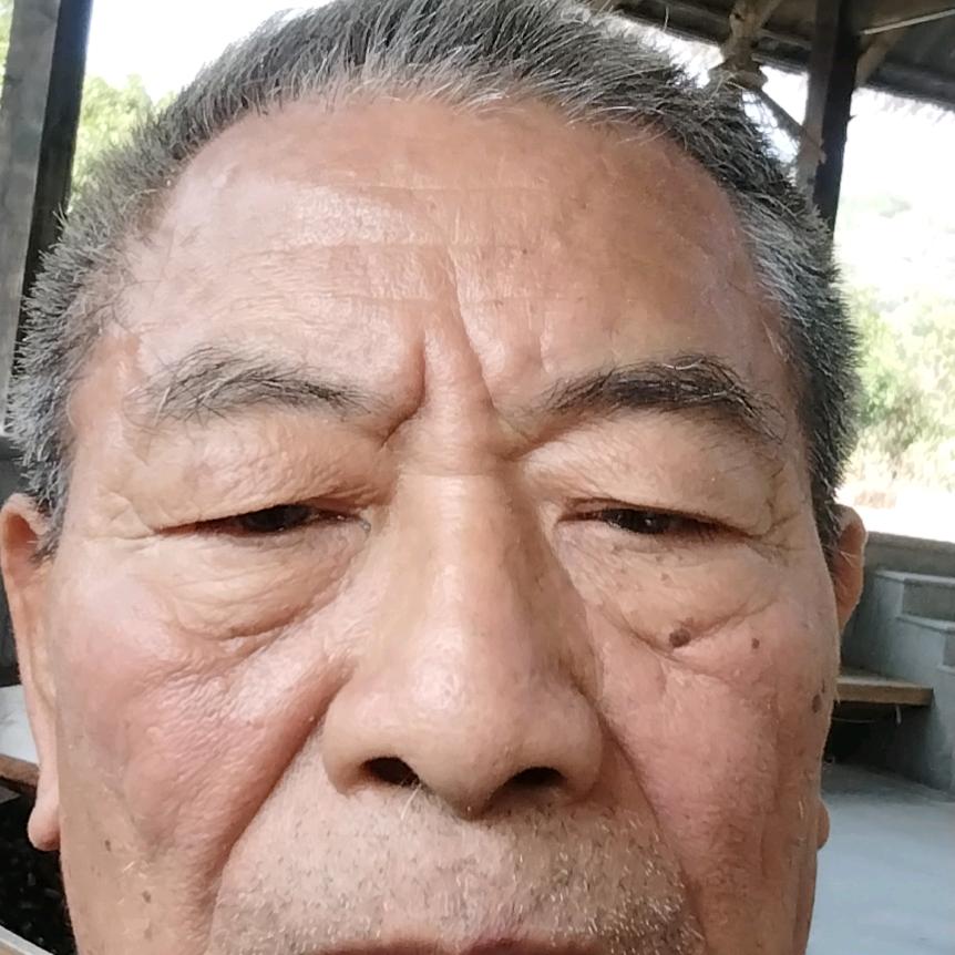 老何