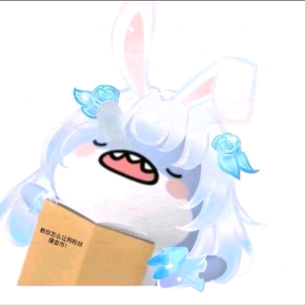 失眠猫猫