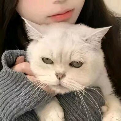 小轩