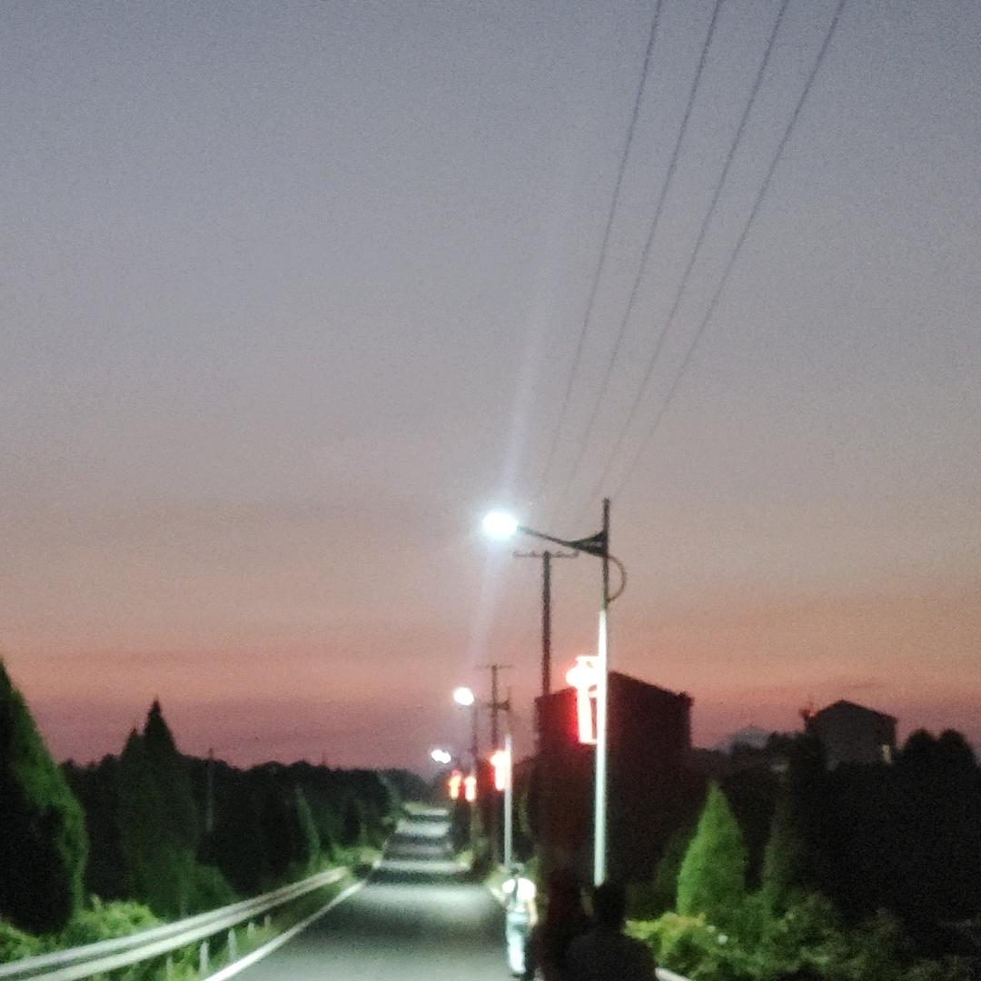 菲儿