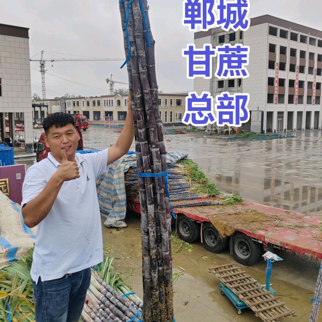 李涛果业