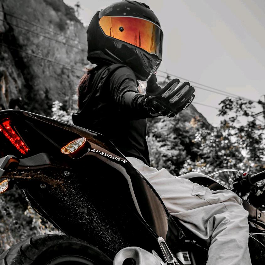 @骑刺鸟的狒狒🏍️