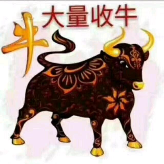 大为牧业