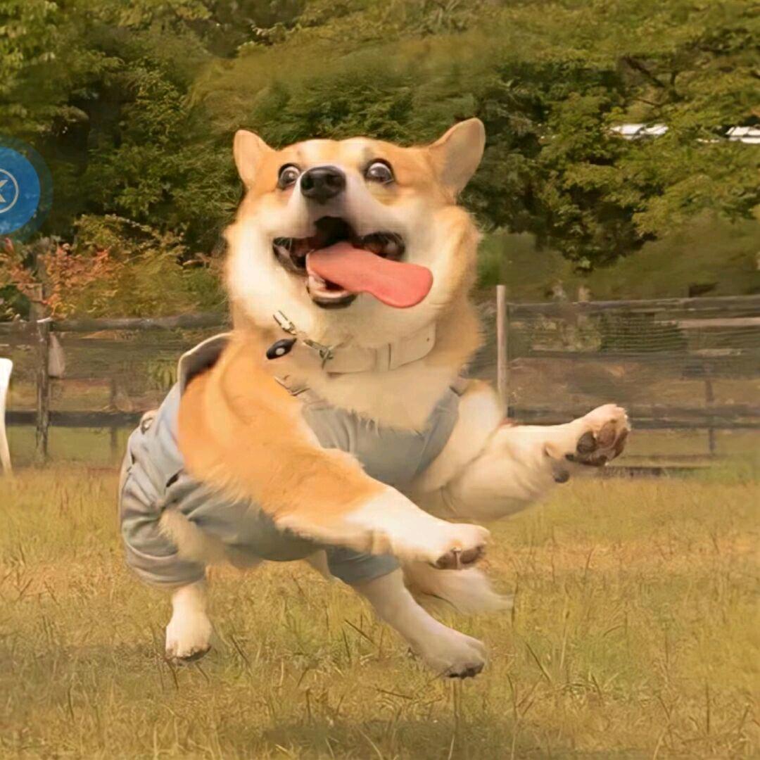 水瓶