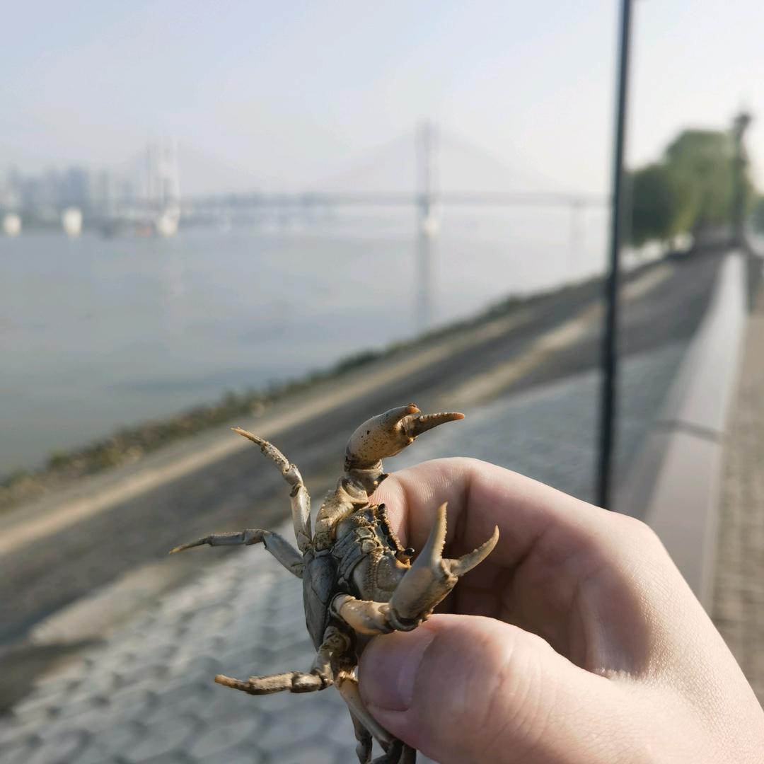 嗯嗯小新