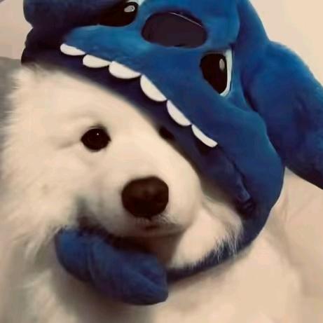 爱吃西瓜的嘻嘻