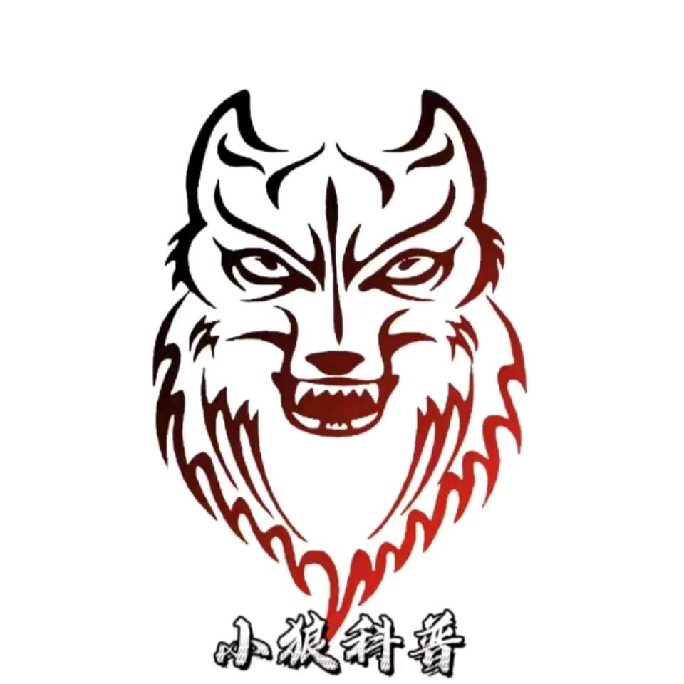 小狼科普