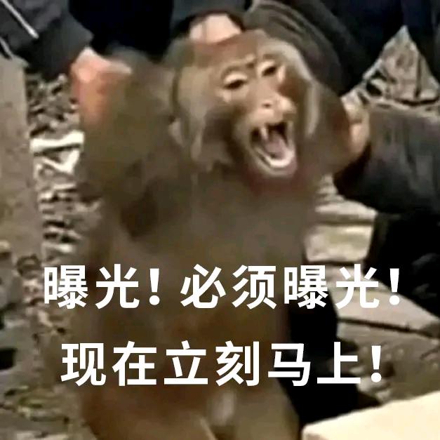 是书不是猪🐷