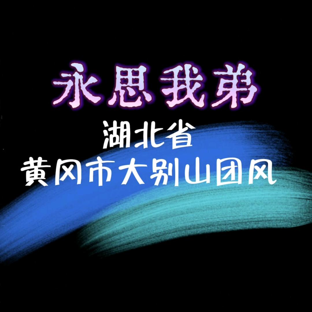 黄冈大别山医疗受害者