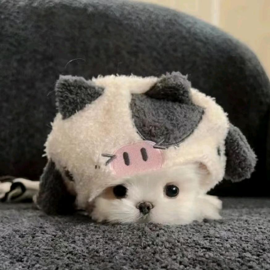 敏轩