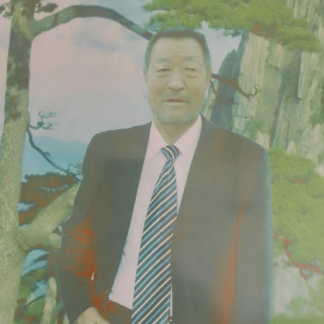 琴淮老人