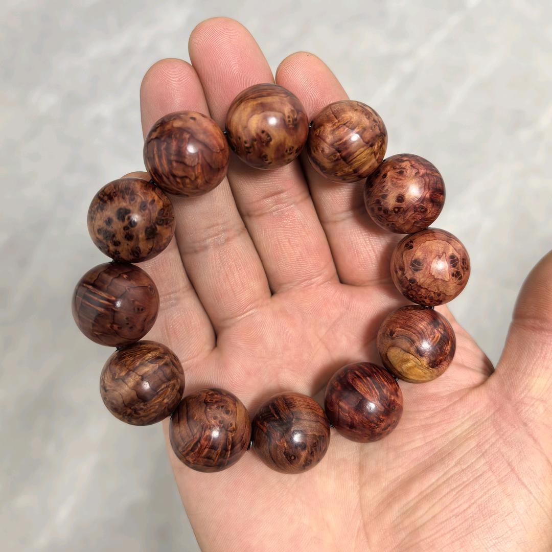 甘谷程哥·旅行记