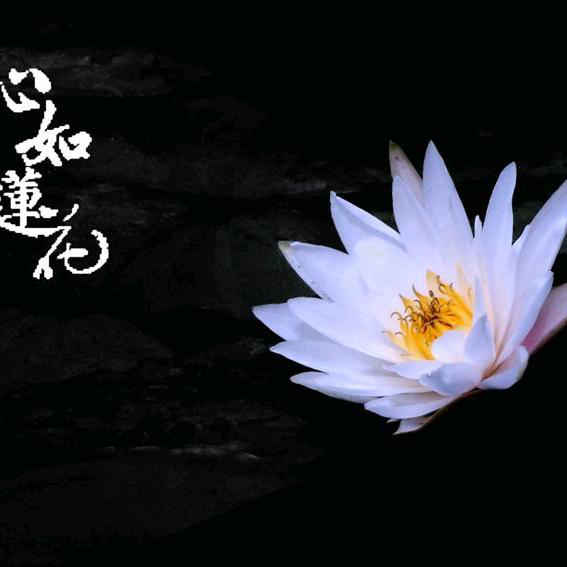 纳福