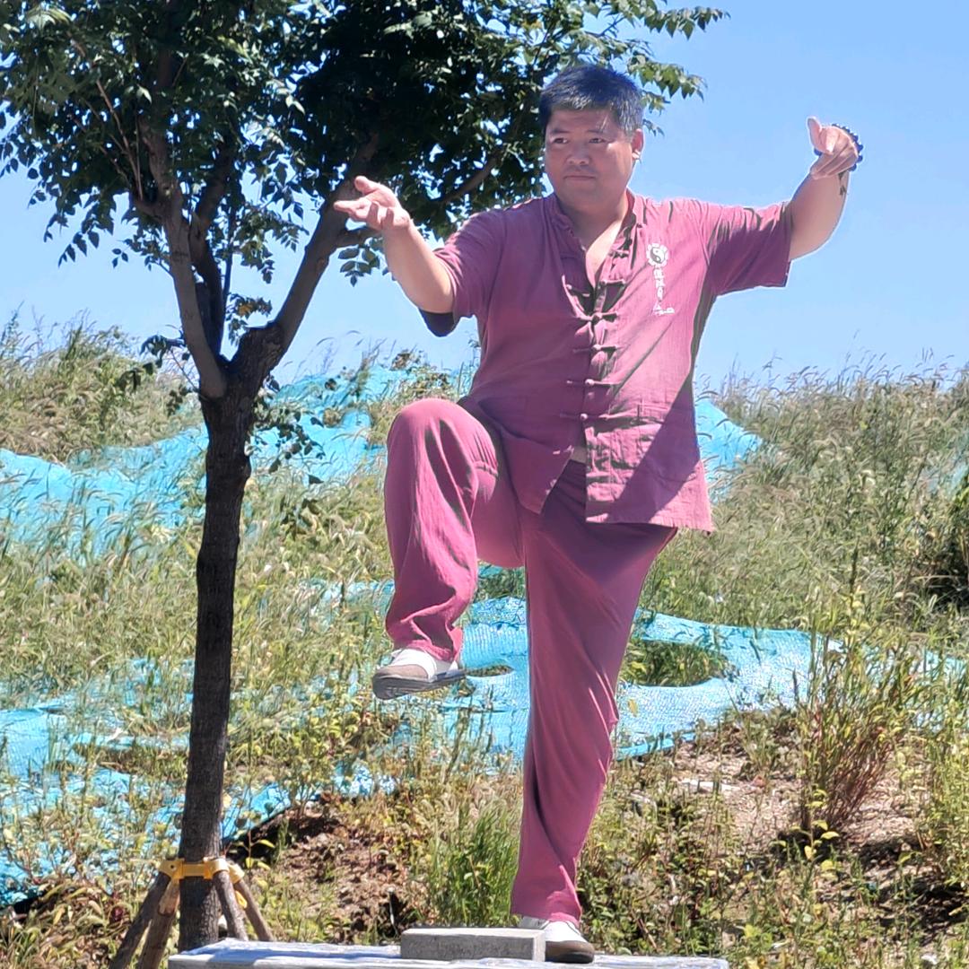 北京陈式太极拳精解收徒。