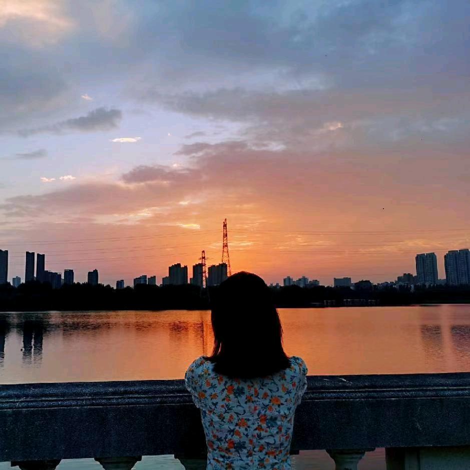 比亚迪全品牌月月