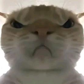 I.