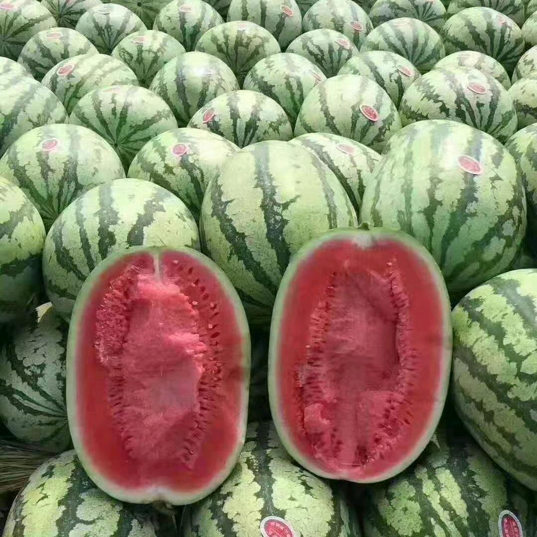 ღ᭄ꦿ余生꧔ꦿএ᭄随心