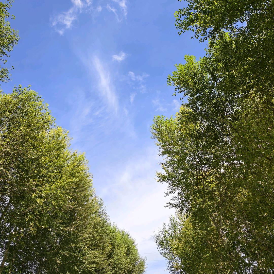 未来可期(￣_,￣ )