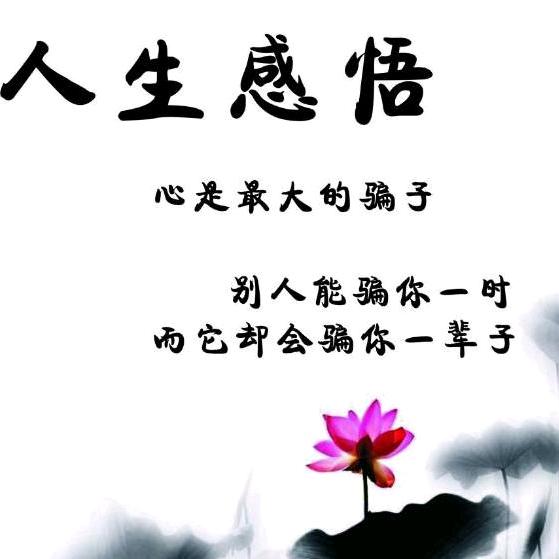 traveler人间过客