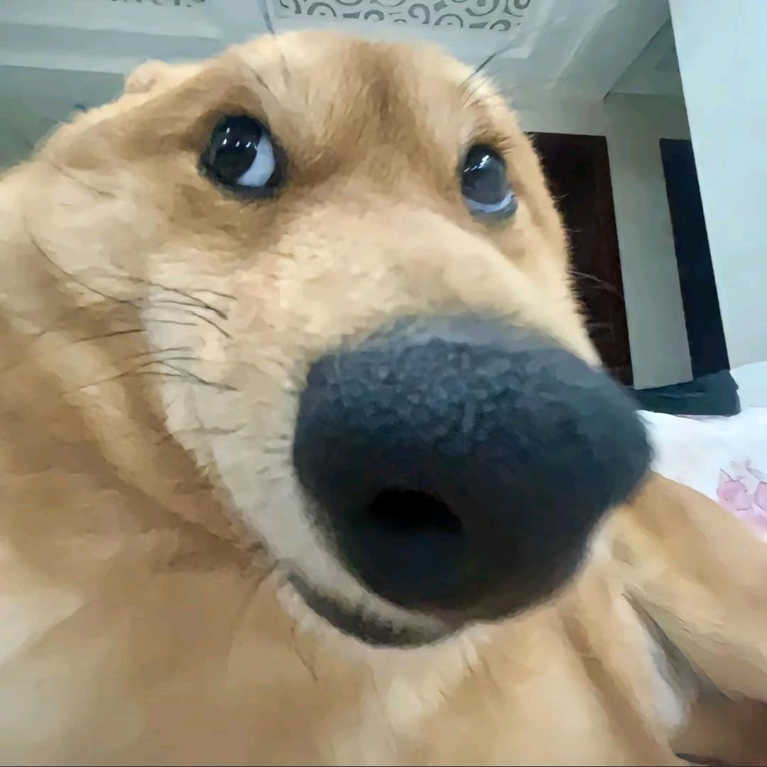 所以
