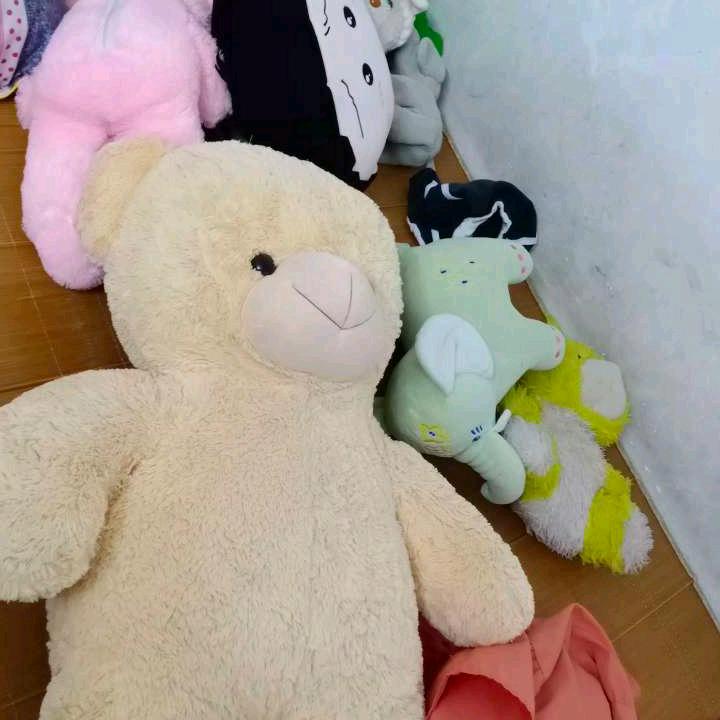 卢家阿妹