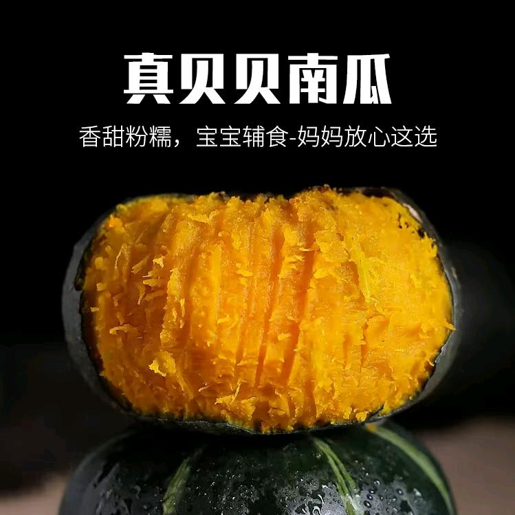 精选贝贝南瓜