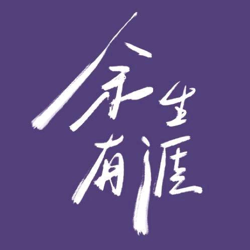 电视剧余生有涯（携手反击版