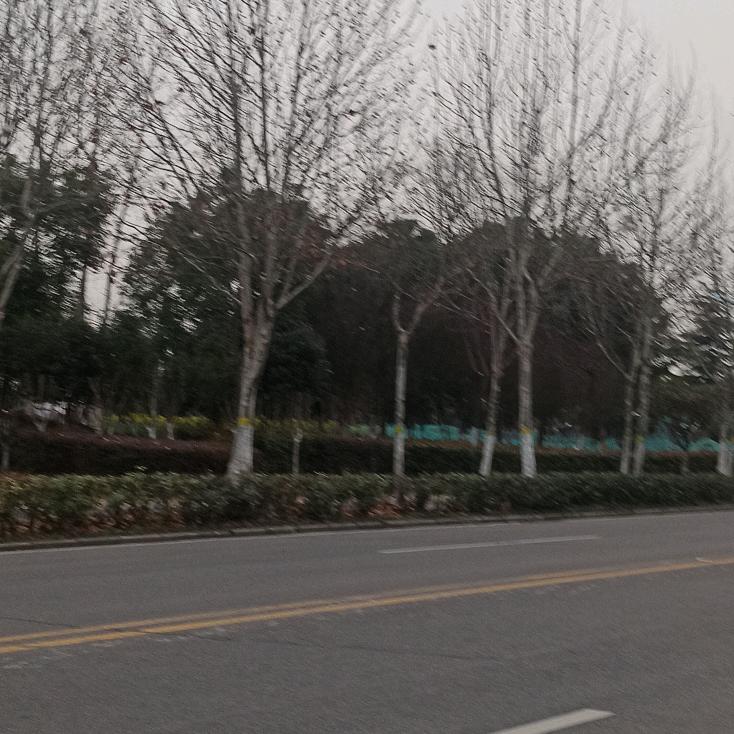 이상하다