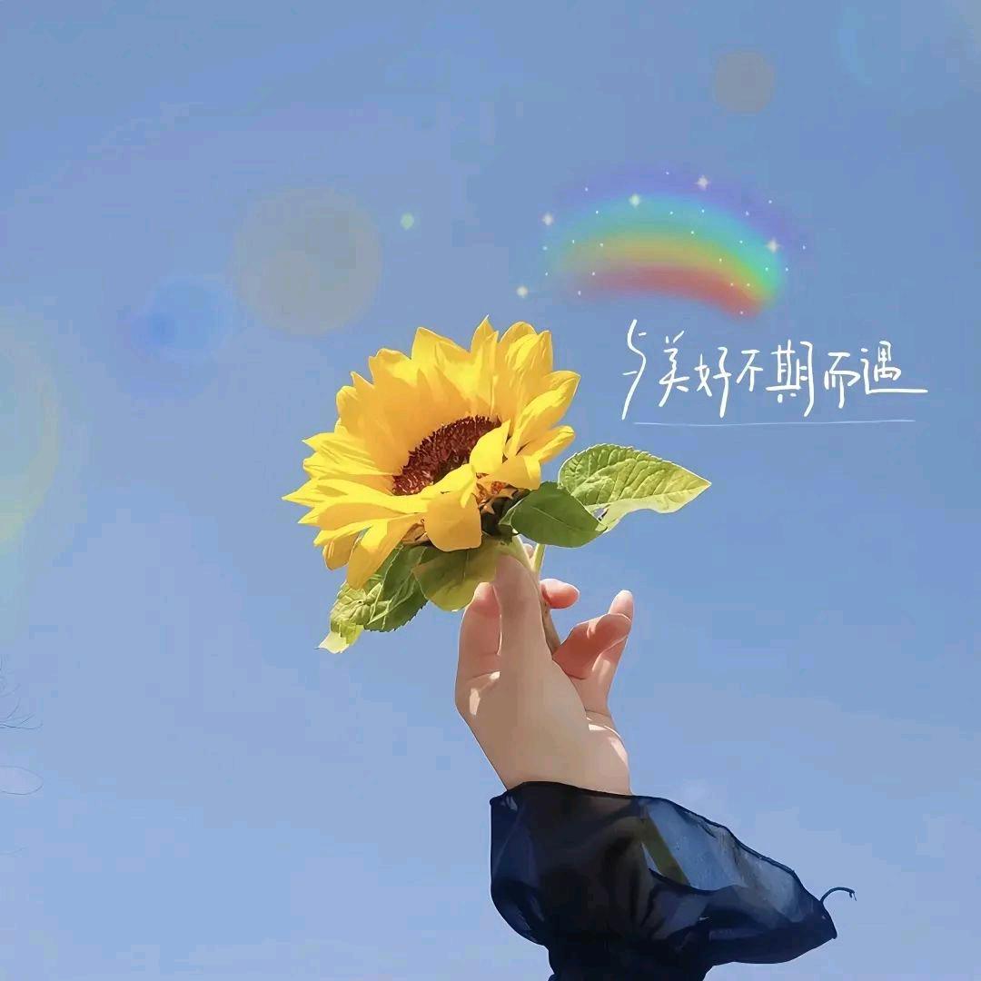 巧巧秀