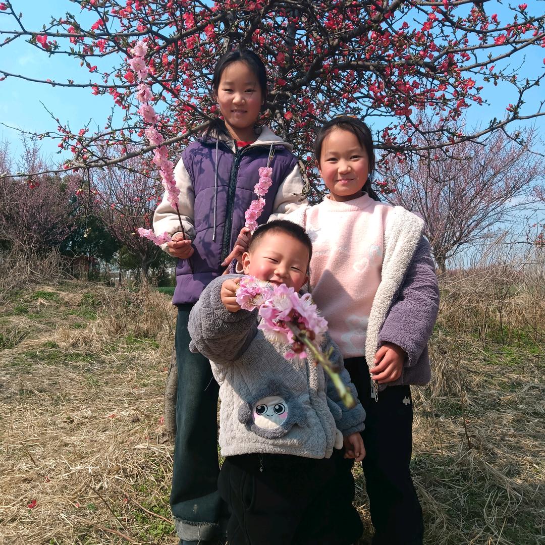 刘记石磨香油（高价回收黄金）