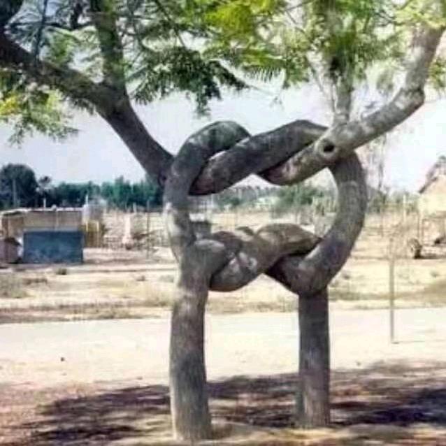 一生无悔