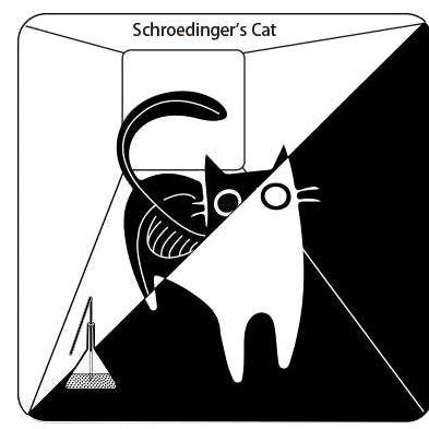 Schroedinger's Cat