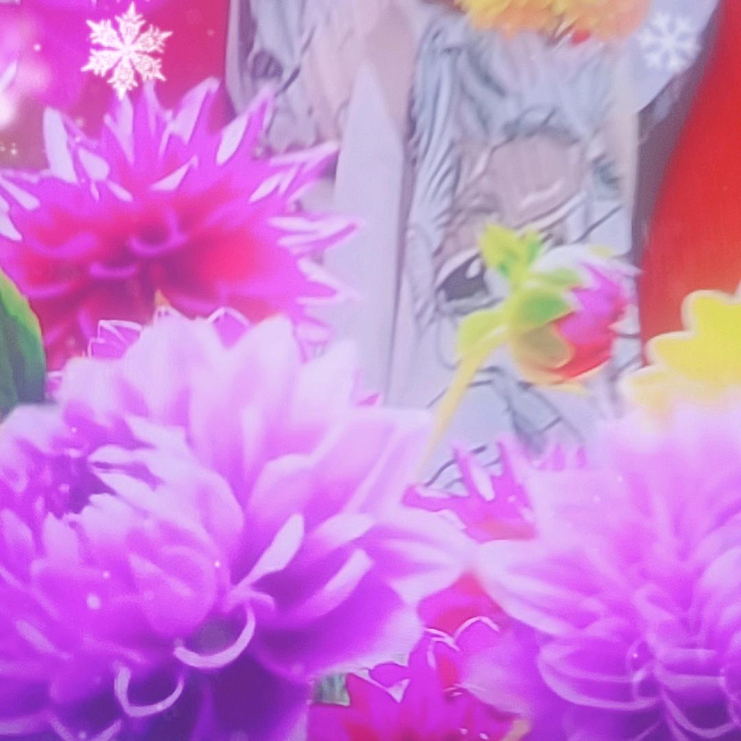 一心只许一个人